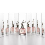 J.P Gaultier Scandal 100ml - Exclusive Women’s Collection